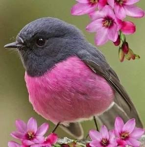 Meet your Posher, Mary